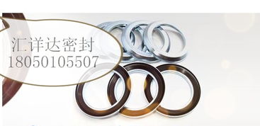 【德国进口cfw/babsl油封型号表,42423价格,图片,配件厂家】