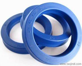 进口dz un防尘油封密封圈