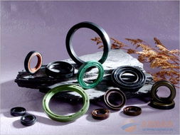 洛阳德捷密封件 一站式液压气动密封解决方案与进口油封专营